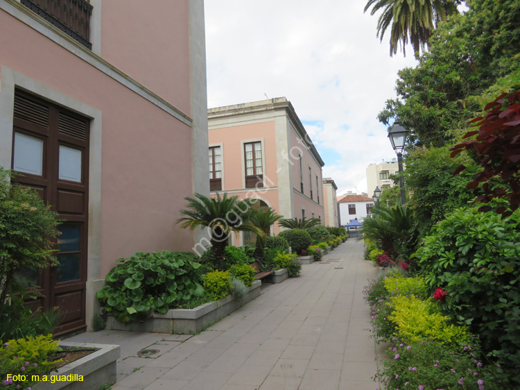 LA OROTAVA (130) Ayuntamiento