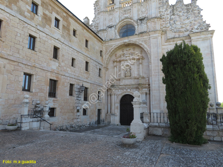 MONASTERIO DE SANTA MARIA DE LA VID (108)