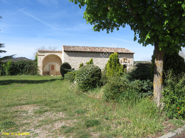 MONASTERIO DE SANTA MARIA DE LA VID (112)