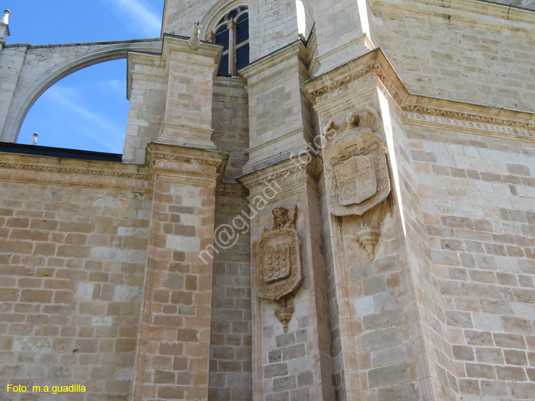 MONASTERIO DE SANTA MARIA DE LA VID (117)