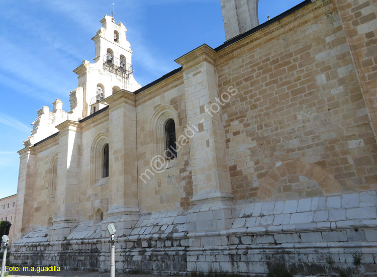 MONASTERIO DE SANTA MARIA DE LA VID (118)