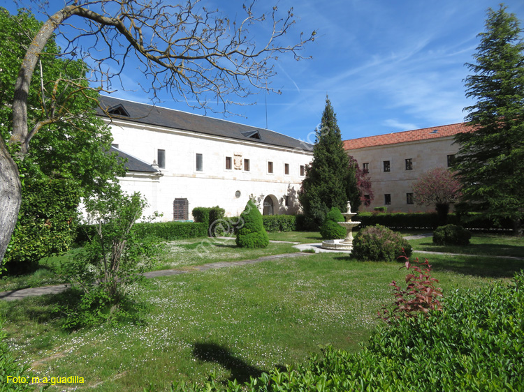 MONASTERIO DE SANTA MARIA DE LA VID (121)