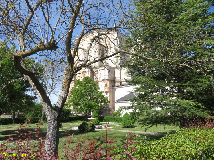 MONASTERIO DE SANTA MARIA DE LA VID (123)