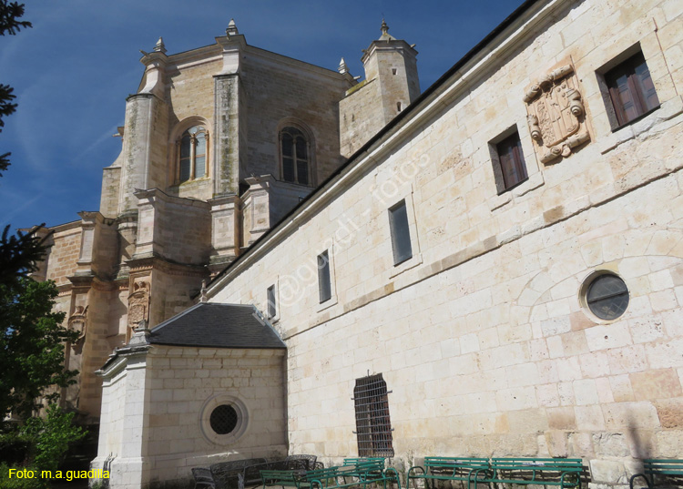 MONASTERIO DE SANTA MARIA DE LA VID (124)