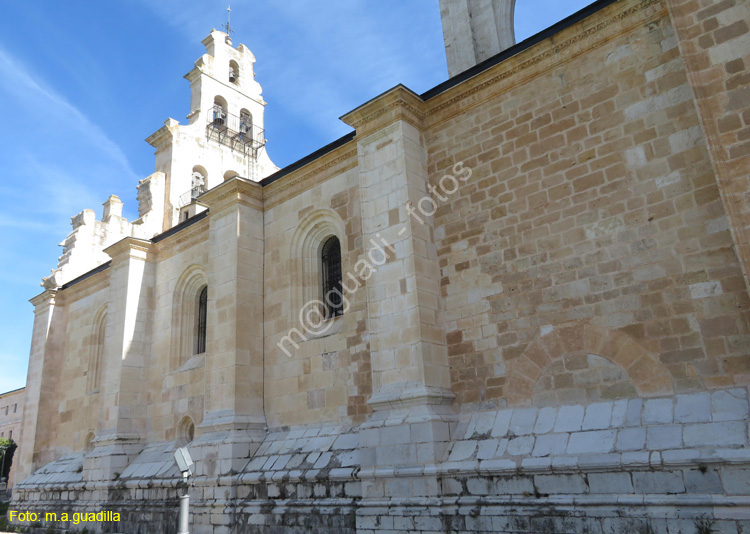 MONASTERIO DE SANTA MARIA DE LA VID (128)