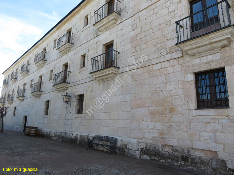 MONASTERIO DE SANTA MARIA DE LA VID (133)