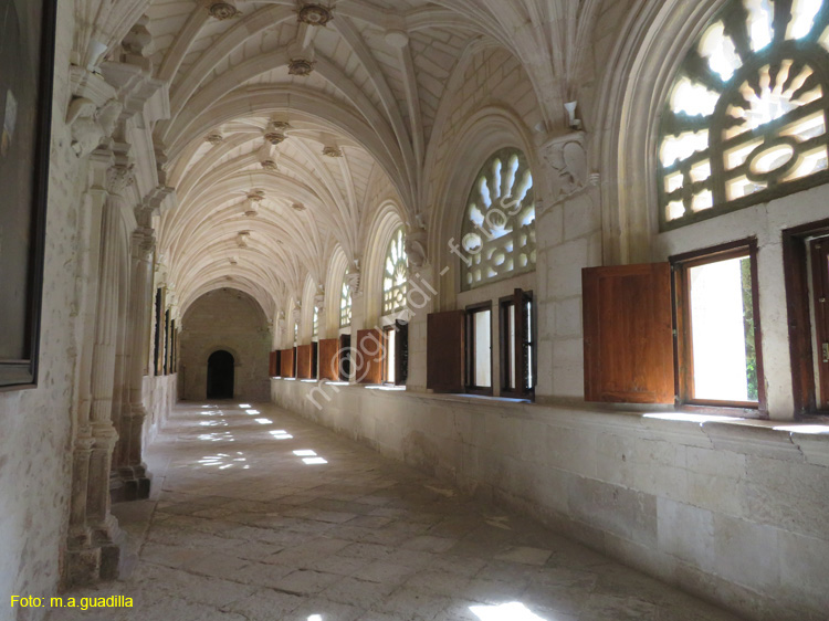 MONASTERIO DE SANTA MARIA DE LA VID (143)