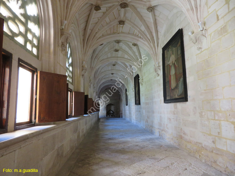 MONASTERIO DE SANTA MARIA DE LA VID (144)