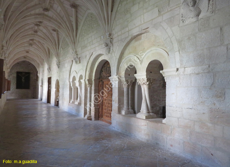 MONASTERIO DE SANTA MARIA DE LA VID (155)