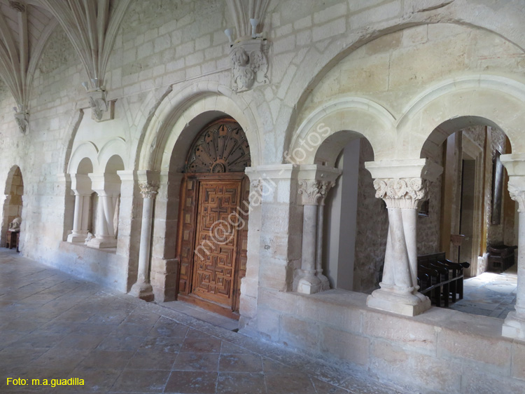 MONASTERIO DE SANTA MARIA DE LA VID (157)