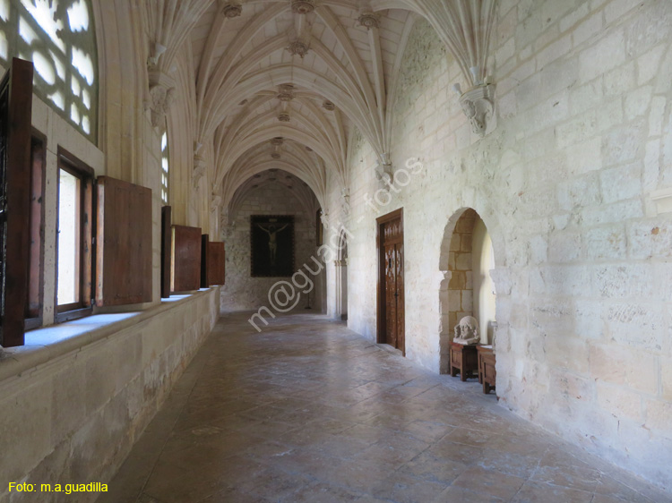 MONASTERIO DE SANTA MARIA DE LA VID (167)