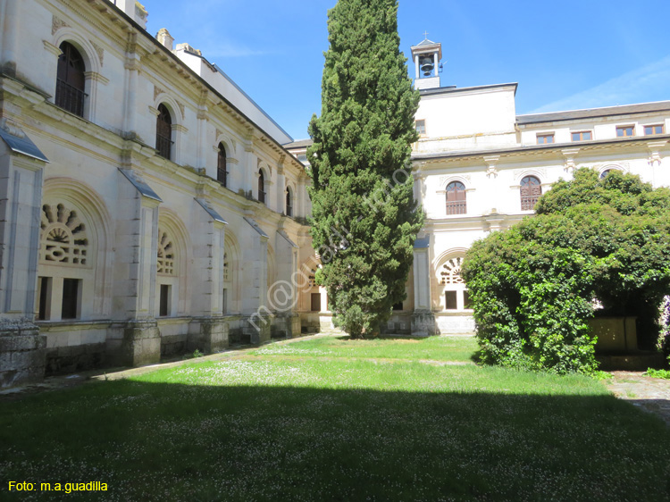 MONASTERIO DE SANTA MARIA DE LA VID (168)