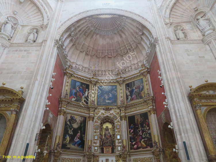 MONASTERIO DE SANTA MARIA DE LA VID (173)