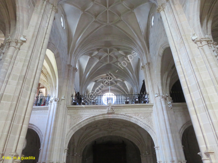 MONASTERIO DE SANTA MARIA DE LA VID (184)