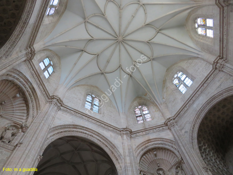 MONASTERIO DE SANTA MARIA DE LA VID (189)