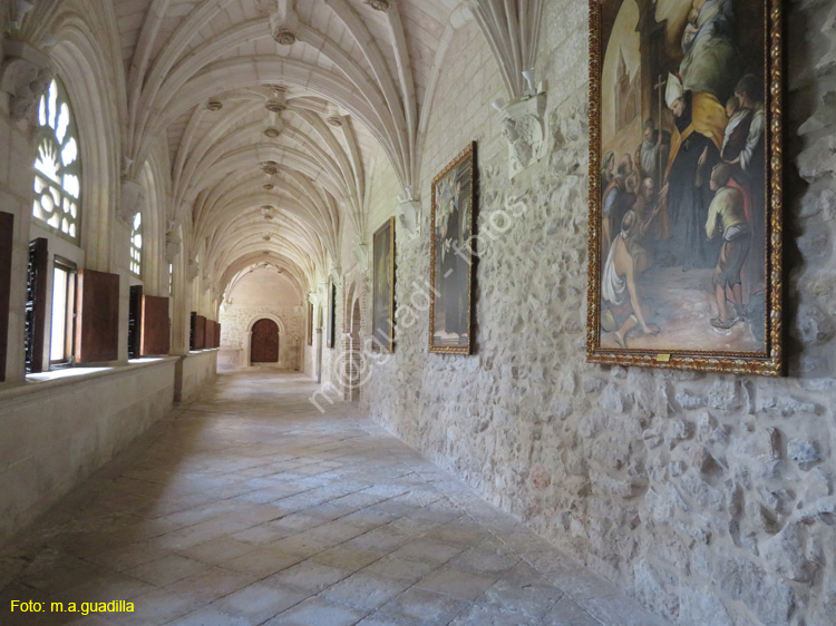 MONASTERIO DE SANTA MARIA DE LA VID (222)