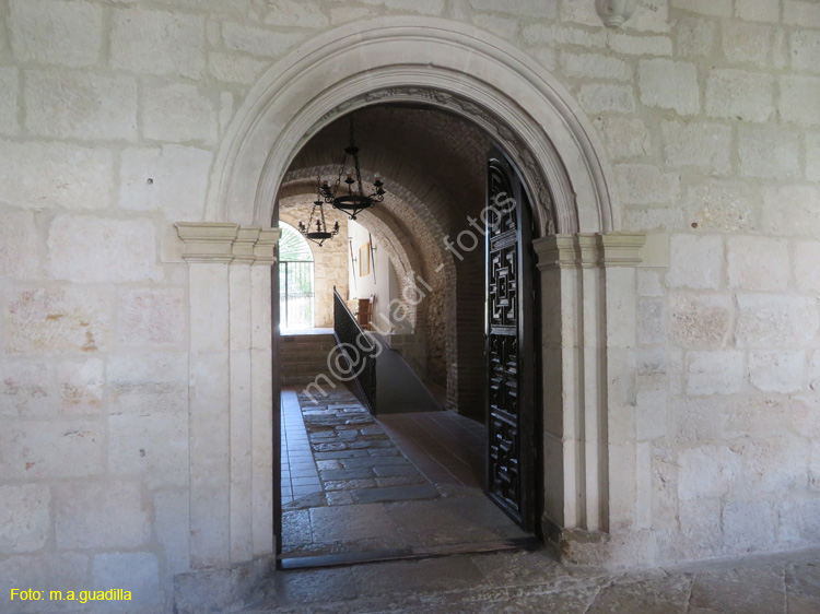 MONASTERIO DE SANTA MARIA DE LA VID (223)