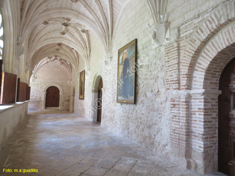 MONASTERIO DE SANTA MARIA DE LA VID (226)