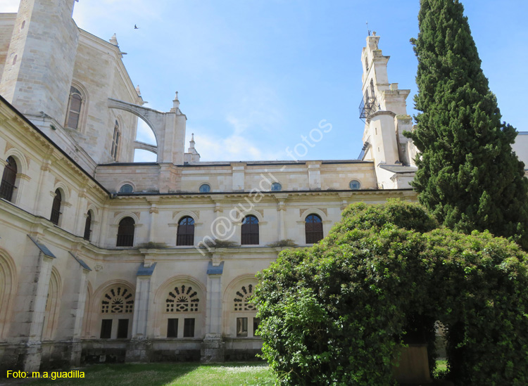 MONASTERIO DE SANTA MARIA DE LA VID (227)