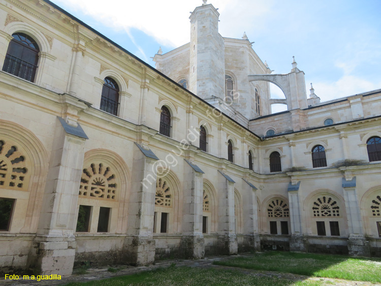 MONASTERIO DE SANTA MARIA DE LA VID (228)