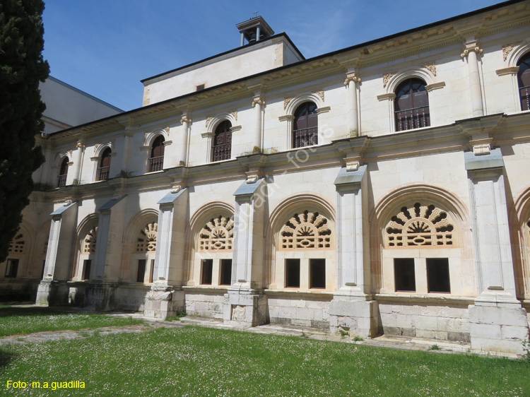 MONASTERIO DE SANTA MARIA DE LA VID (229)