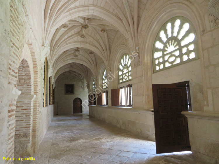 MONASTERIO DE SANTA MARIA DE LA VID (231)