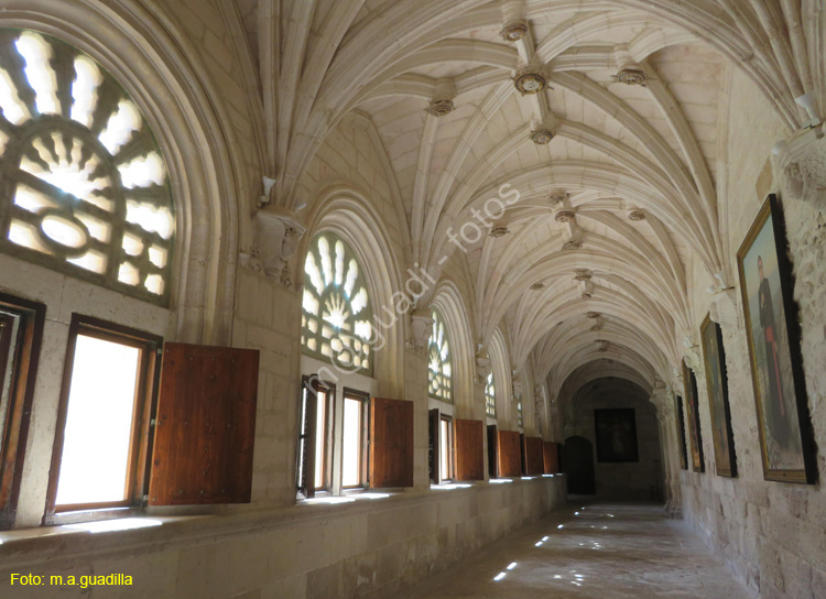 MONASTERIO DE SANTA MARIA DE LA VID (233)