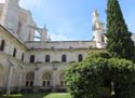 MONASTERIO DE SANTA MARIA DE LA VID (227)