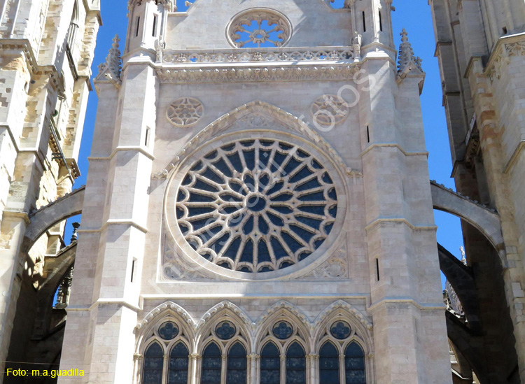 LEON (360) Catedral