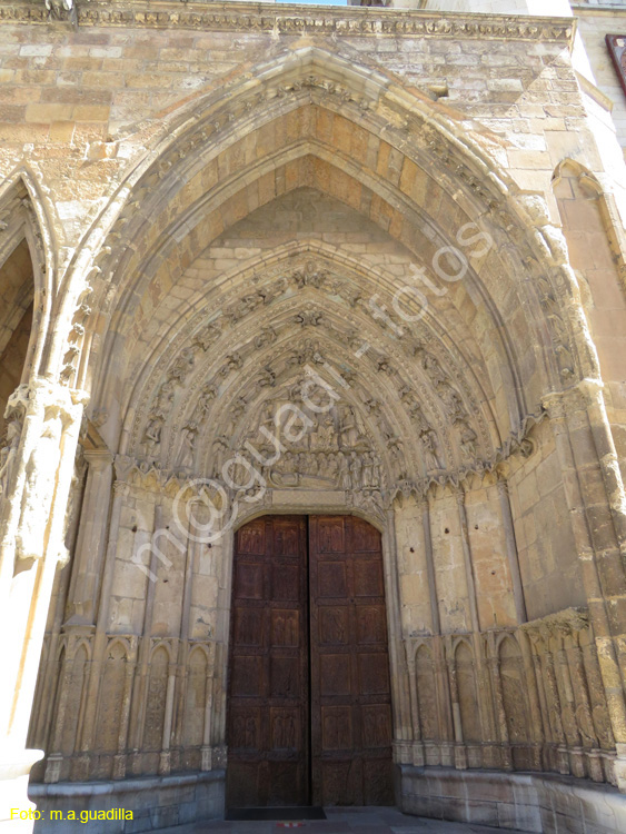 LEON (367) Catedral