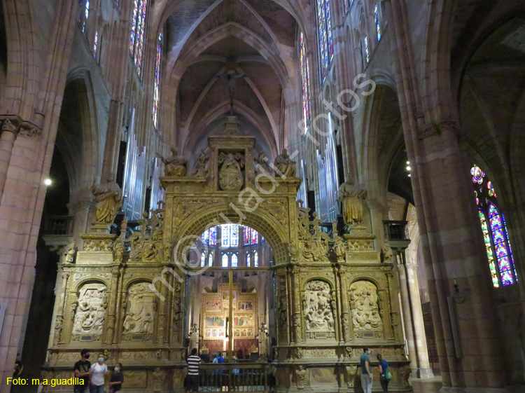 LEON (380) Catedral