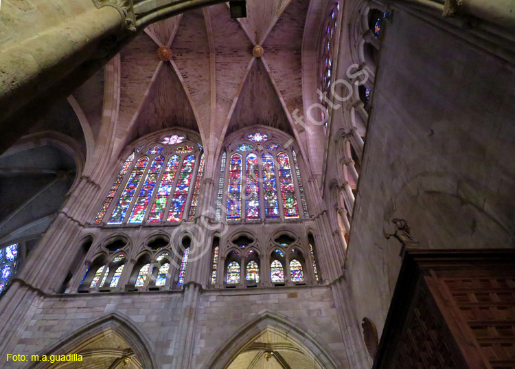 LEON (396) Catedral
