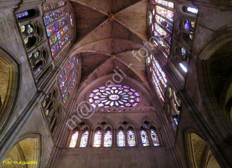LEON (399) Catedral