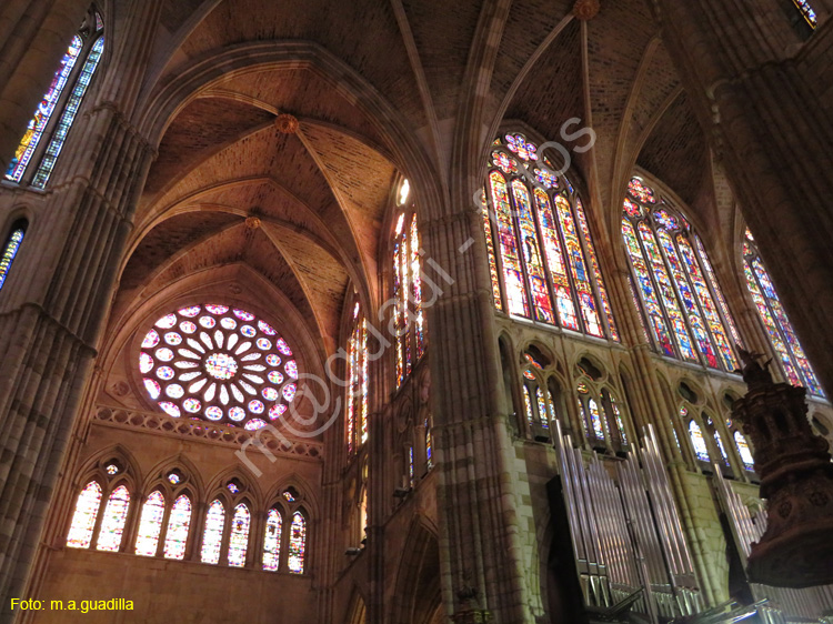 LEON (433) Catedral