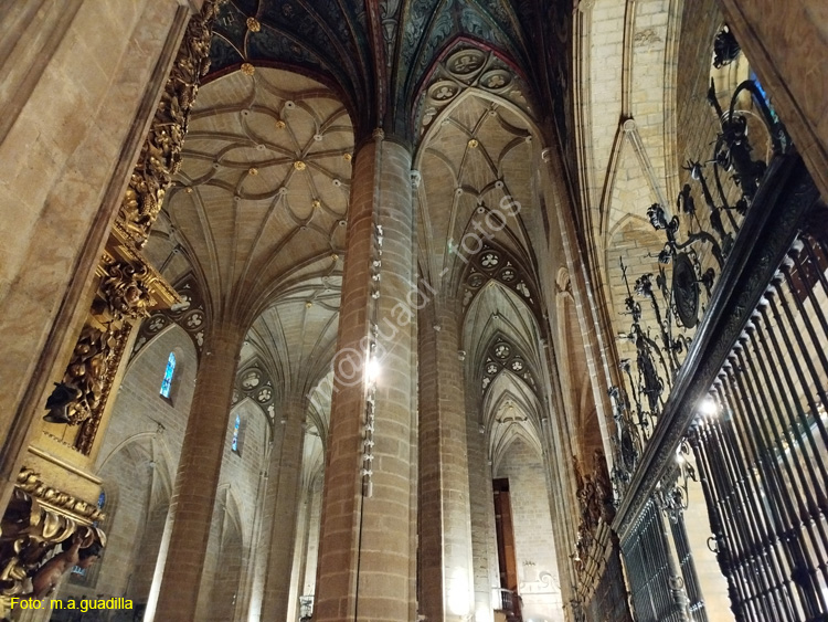 LOGROÑO (177)  Concatedral de Santa Maria de la Redonda
