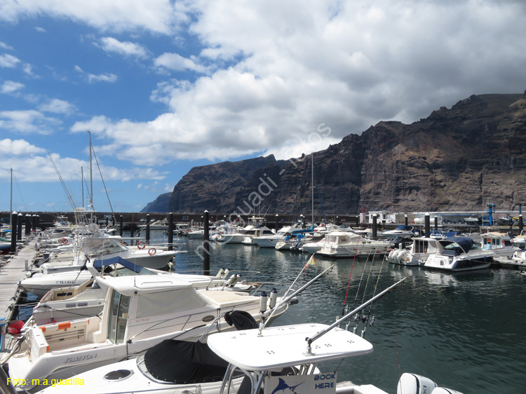 LOS GIGANTES (102) Puerto Santiago