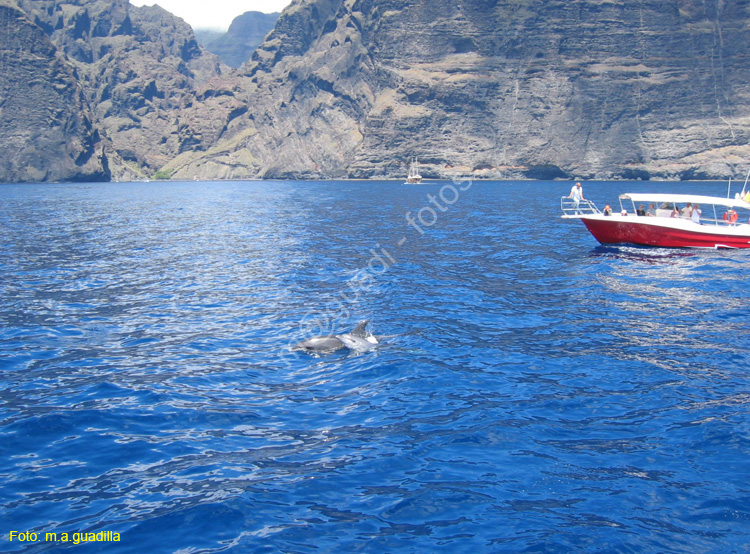 LOS GIGANTES (143) En barco 2007