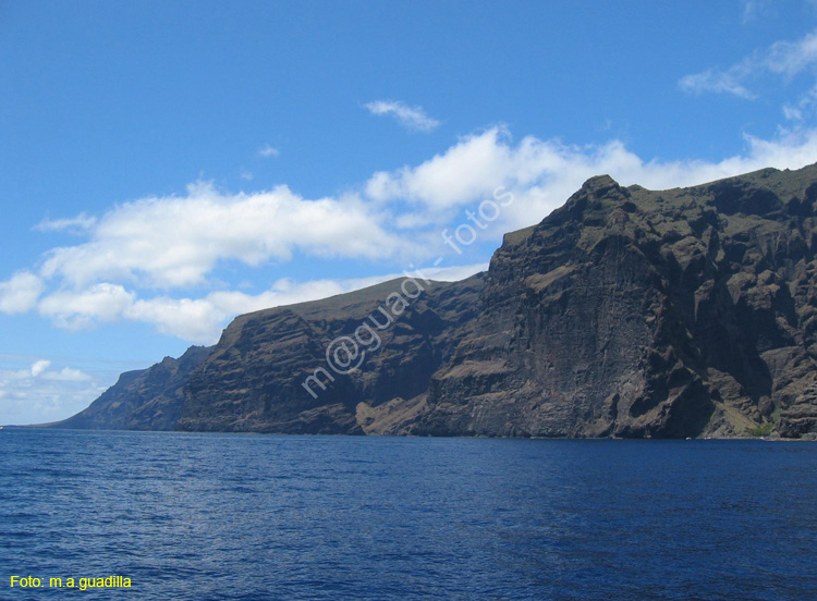 LOS GIGANTES (150) En barco 2007