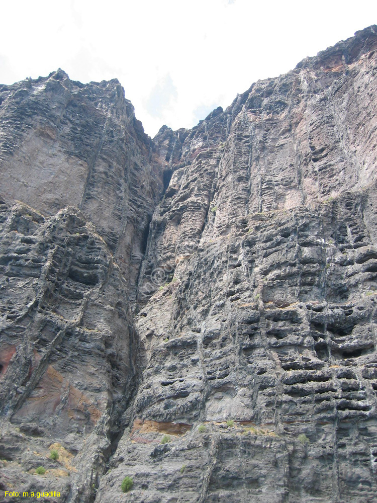 LOS GIGANTES (158) En barco 2007