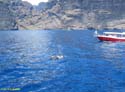 LOS GIGANTES (143) En barco 2007