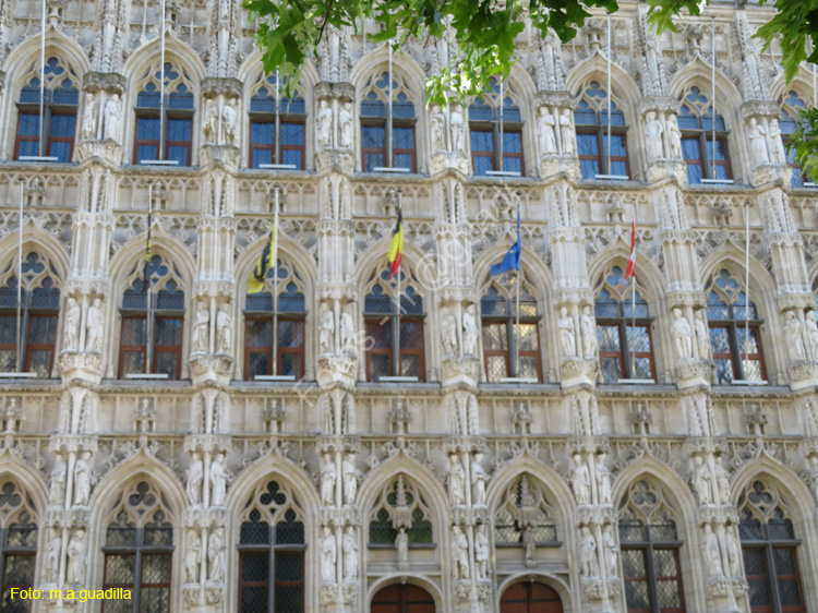 LOVAINA (121) Ayuntamiento