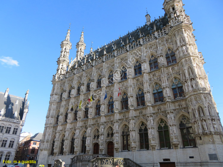 LOVAINA (123) Ayuntamiento