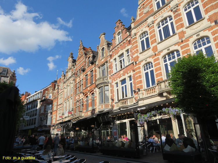 LOVAINA (146) Oude Markt