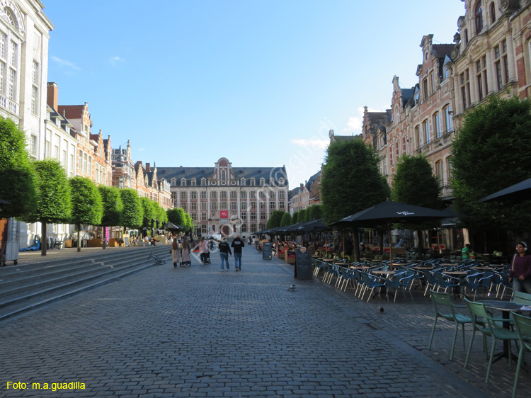 LOVAINA (148) Oude Markt
