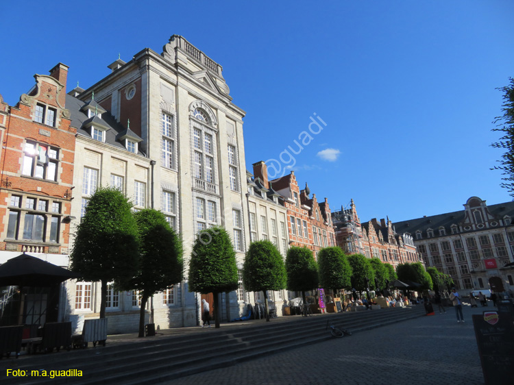 LOVAINA (150) Oude Markt