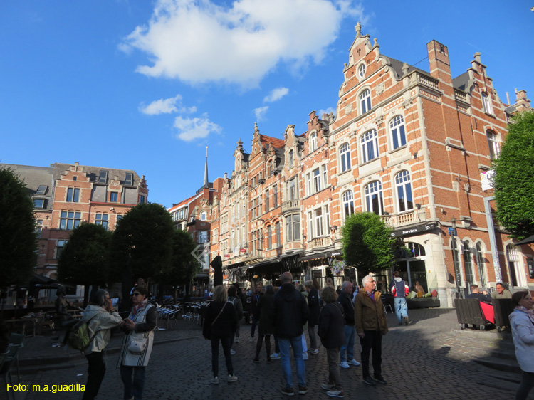 LOVAINA (151) Oude Markt