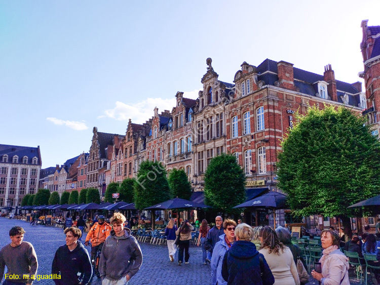 LOVAINA (155) Oude Markt