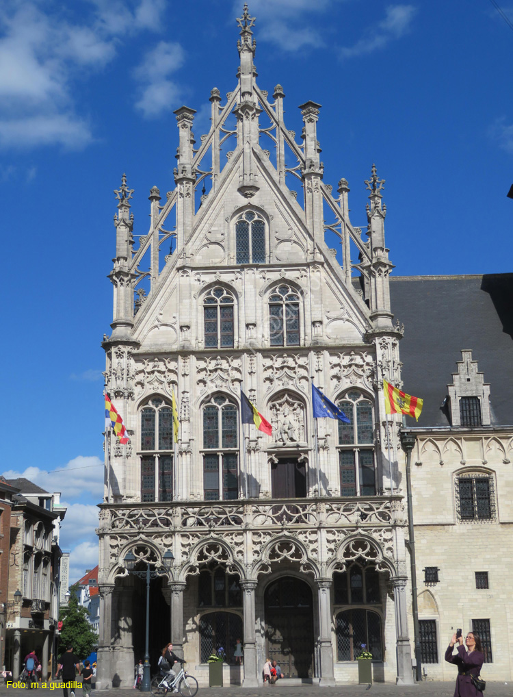 MALINAS (128) Ayuntamiento
