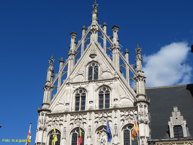MALINAS (130) Ayuntamiento