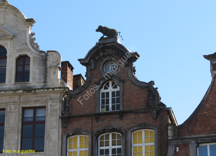 MALINAS (150) Plaza del Mercado